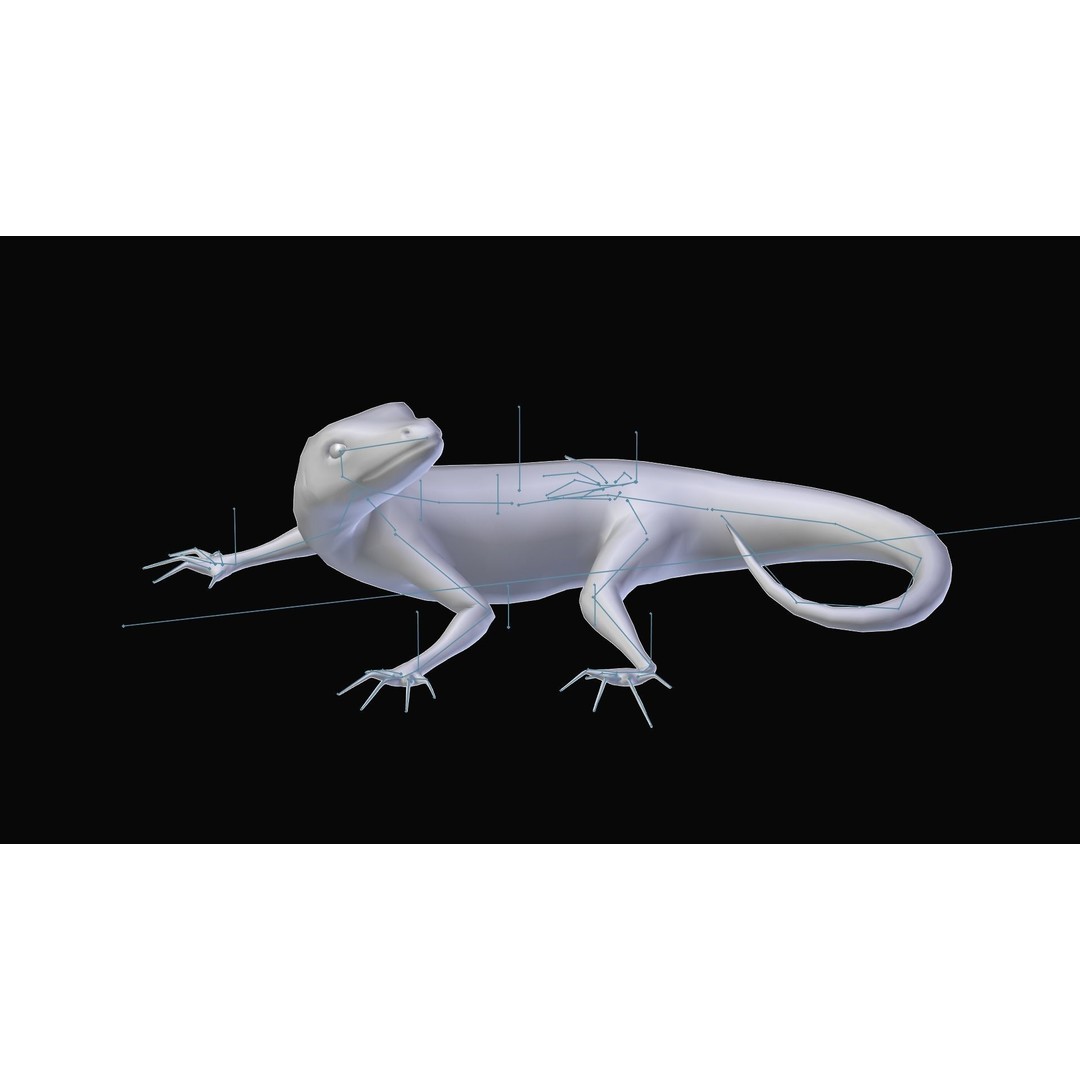 Podarcis Sicula 3D Model – Low Poly Rigged Lizard, FBX, PBR Textures - View 6