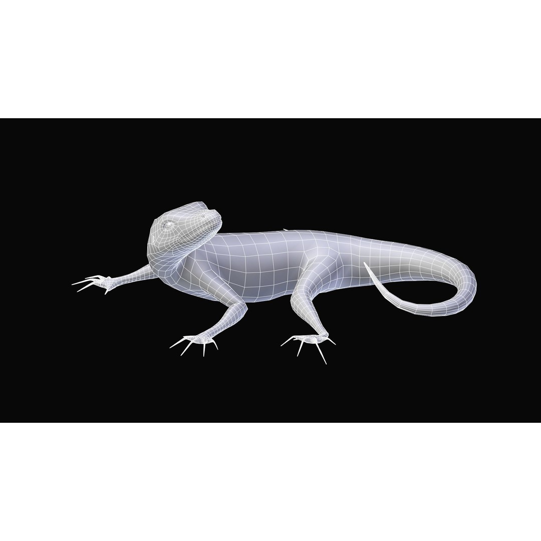 Podarcis Sicula 3D Model – Low Poly Rigged Lizard, FBX, PBR Textures - View 7