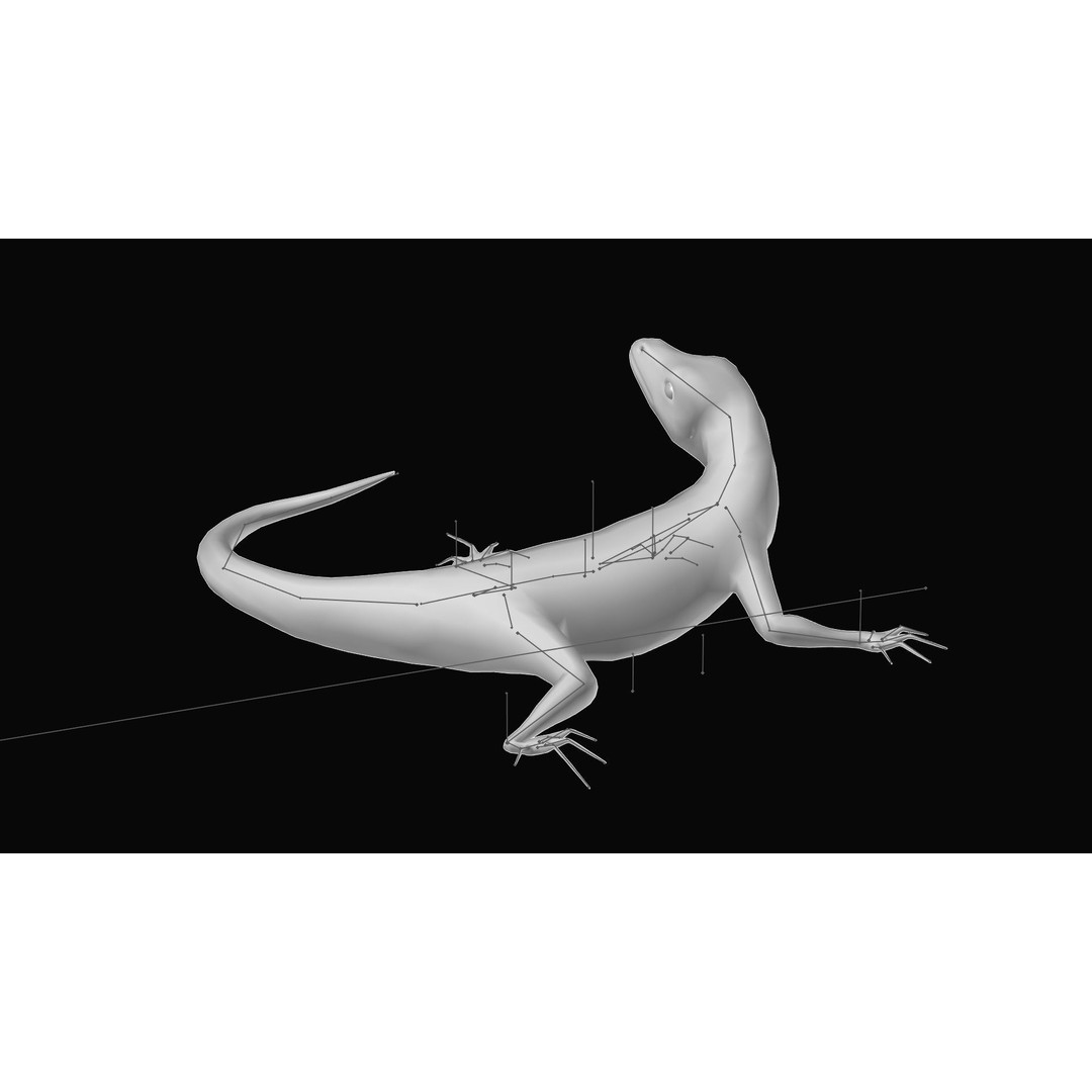 Podarcis Sicula 3D Model – Low Poly Rigged Lizard, FBX, PBR Textures - View 9