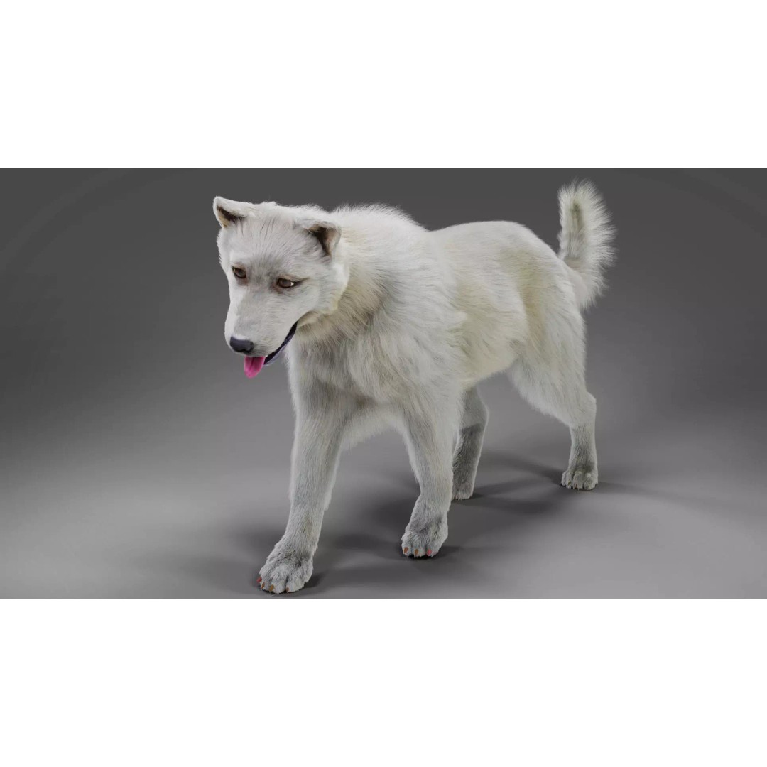 Fur White Dog 3D Model – Rigged Low Poly Animal Asset, Blender - View 2