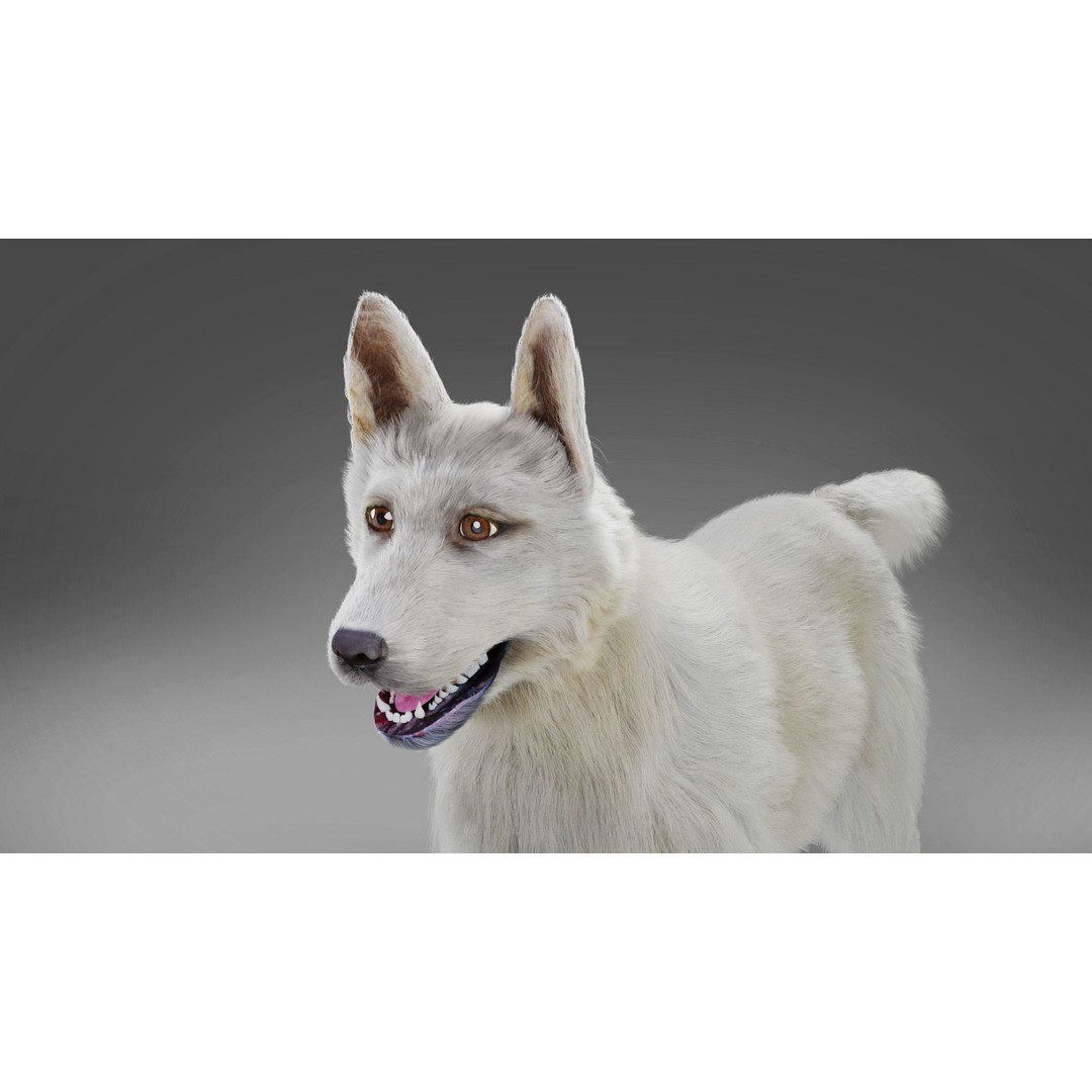 Fur White Dog 3D Model – Rigged Low Poly Animal Asset, Blender - View 3