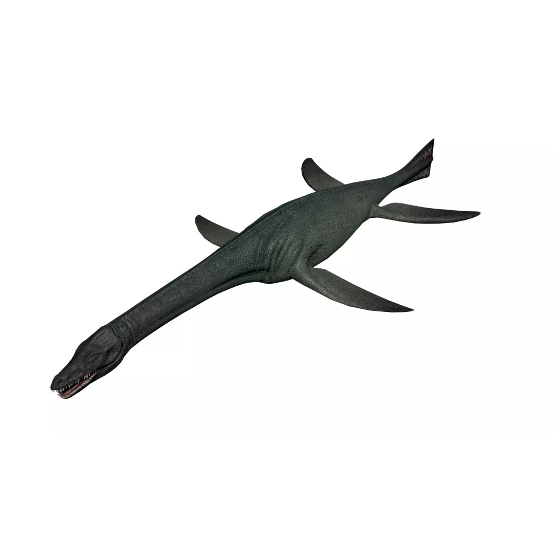 Cryptoclidus 3D Model – Low Poly Rigged Dinosaur with Animations - View 10