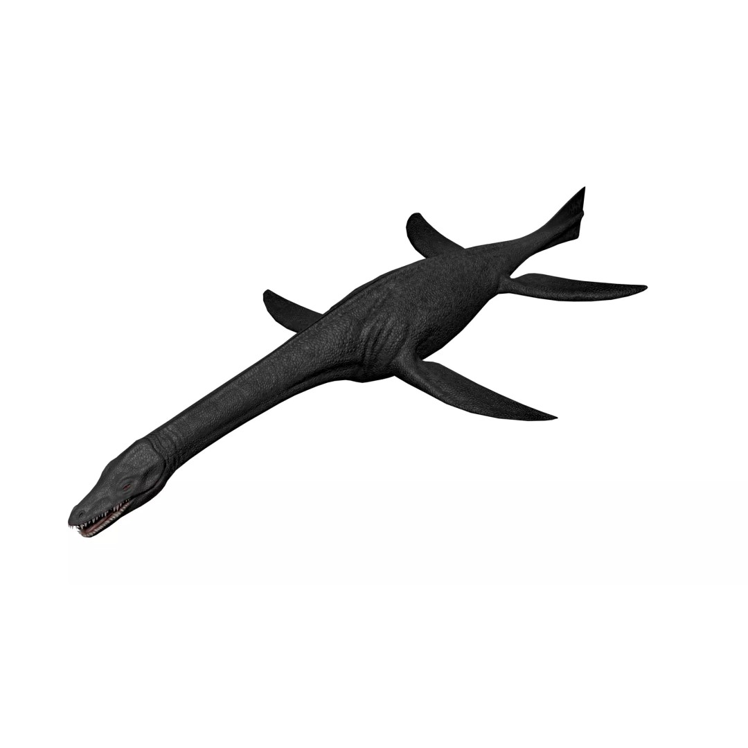 Cryptoclidus 3D Model – Low Poly Rigged Dinosaur with Animations - View 12