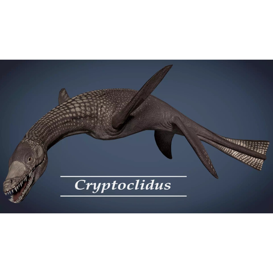 Cryptoclidus 3D Model – Low Poly Rigged Dinosaur with Animations - View 2