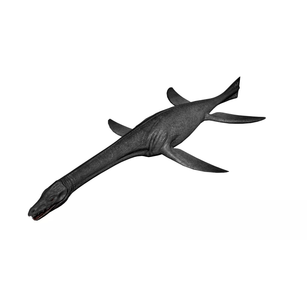 Cryptoclidus 3D Model – Low Poly Rigged Dinosaur with Animations - View 4