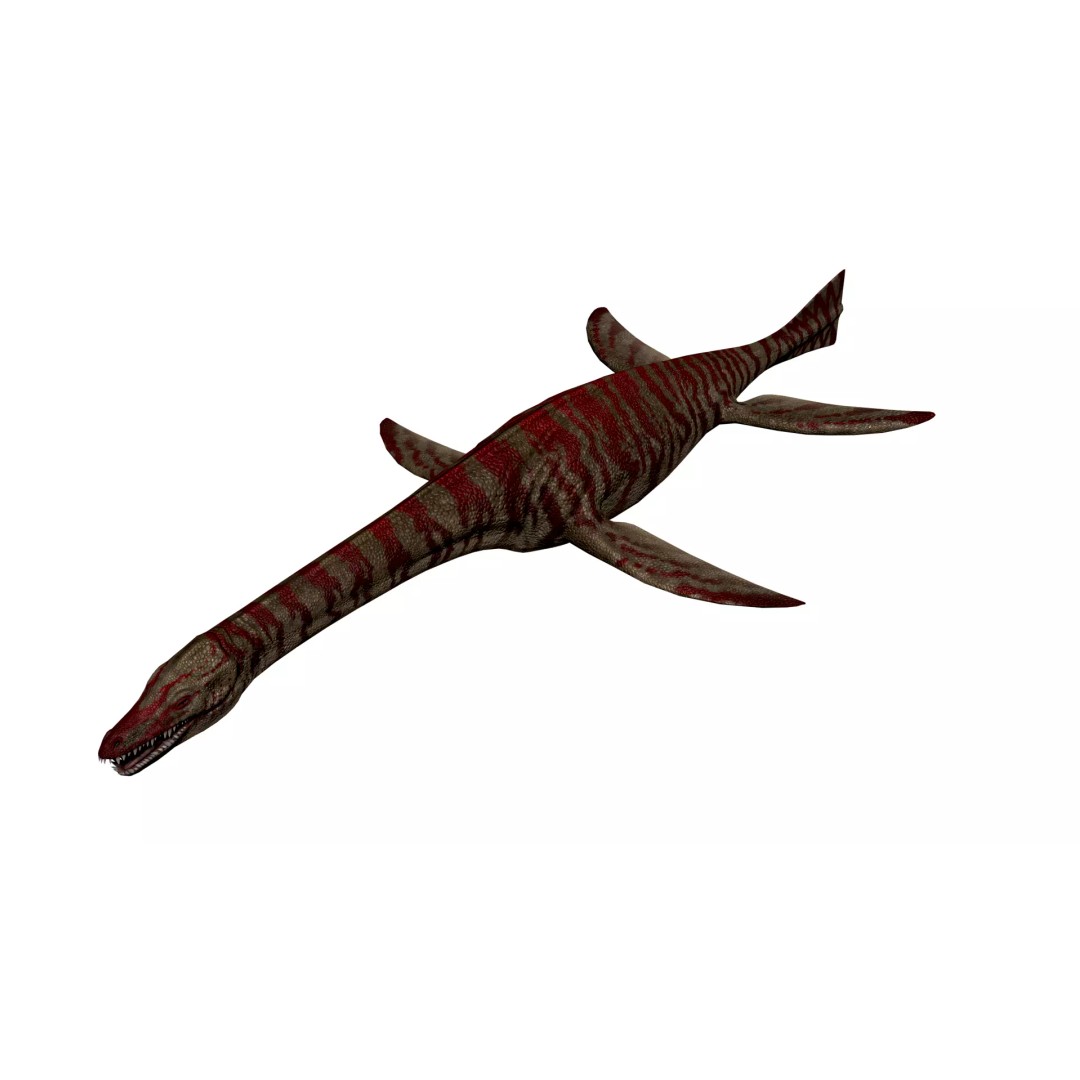 Cryptoclidus 3D Model – Low Poly Rigged Dinosaur with Animations - View 5