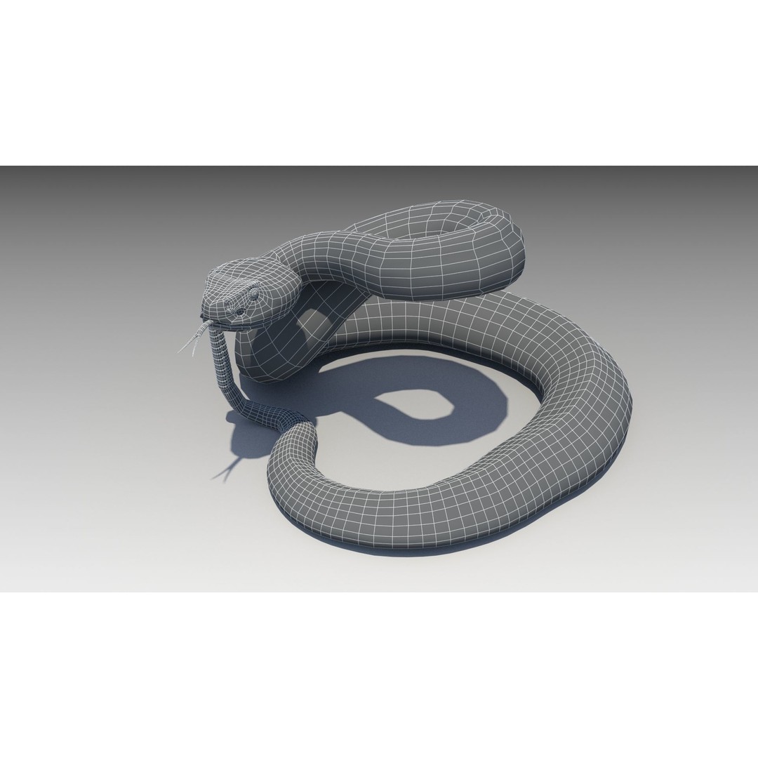 Rattlesnake 3D Model – Low Poly Rigged Asset with Animations, FBX