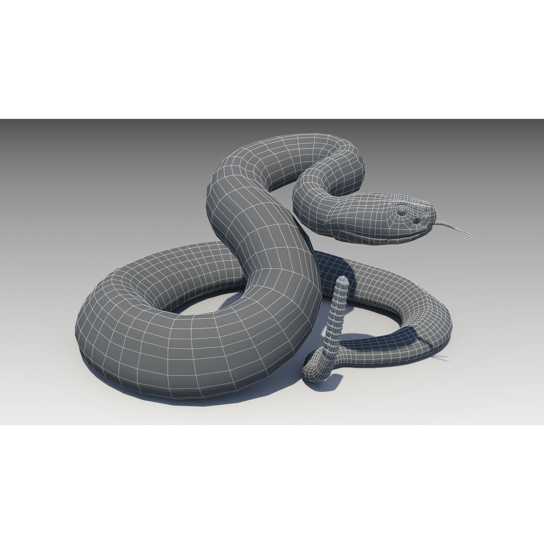 Rattlesnake 3D Model – Low Poly Rigged Asset with Animations, FBX - View 8