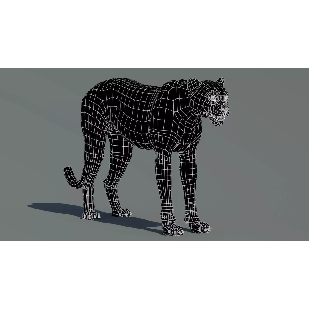Cheetah 3D Model – Photorealistic Animal Asset with PBR Textures - View 16