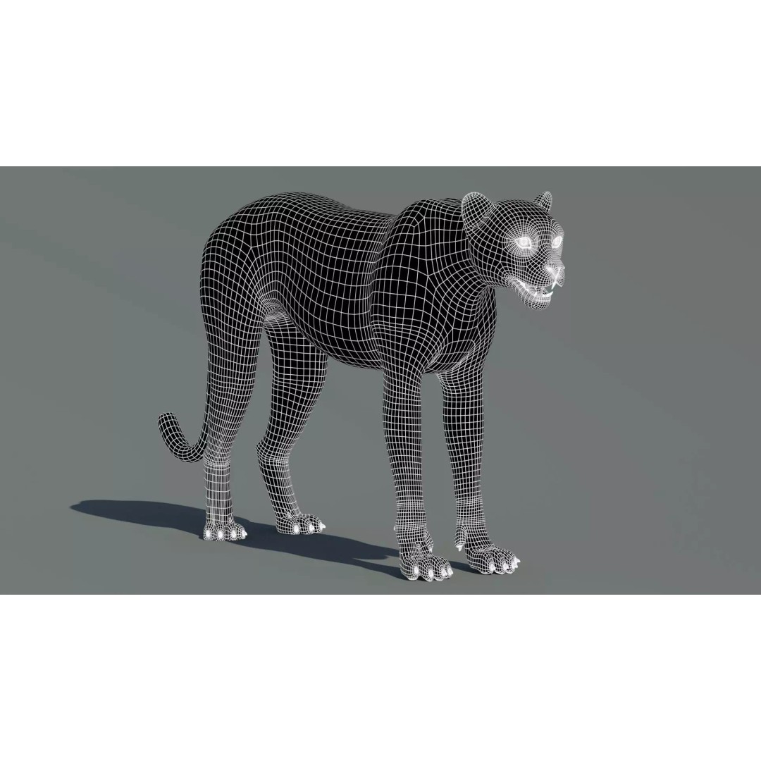 Cheetah 3D Model – Photorealistic Animal Asset with PBR Textures - View 17