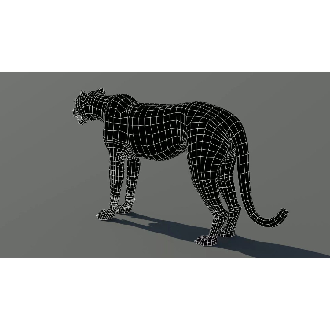 Cheetah 3D Model – Photorealistic Animal Asset with PBR Textures - View 18