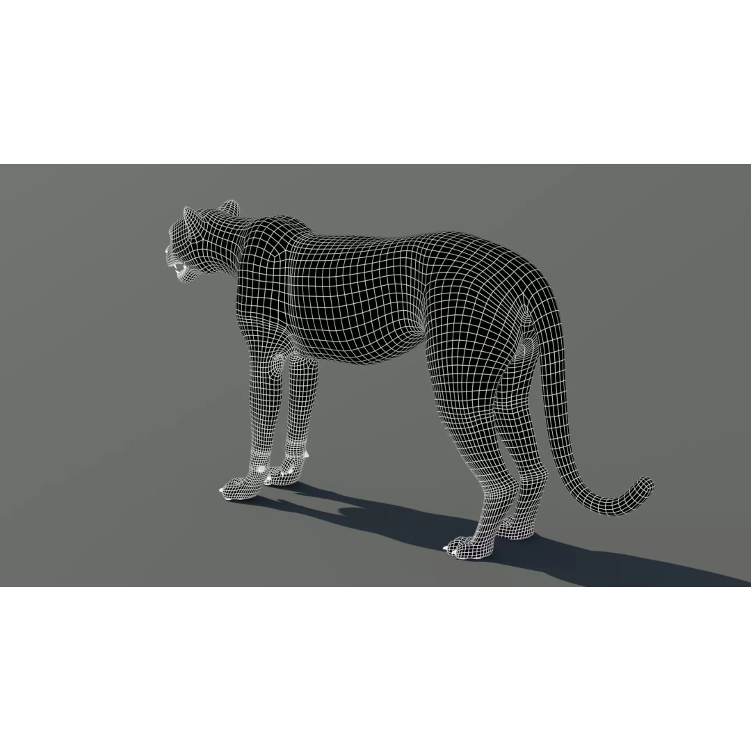 Cheetah 3D Model – Photorealistic Animal Asset with PBR Textures - View 19