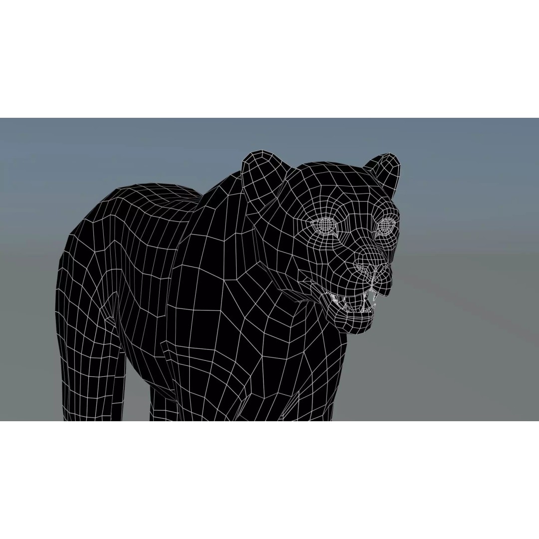 Cheetah 3D Model – Photorealistic Animal Asset with PBR Textures - View 20