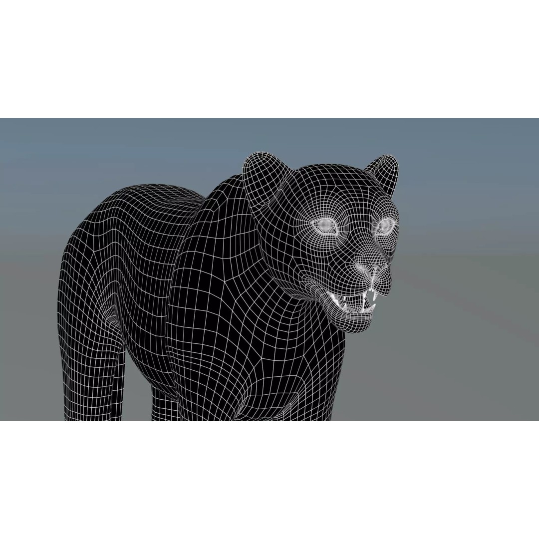 Cheetah 3D Model – Photorealistic Animal Asset with PBR Textures - View 21