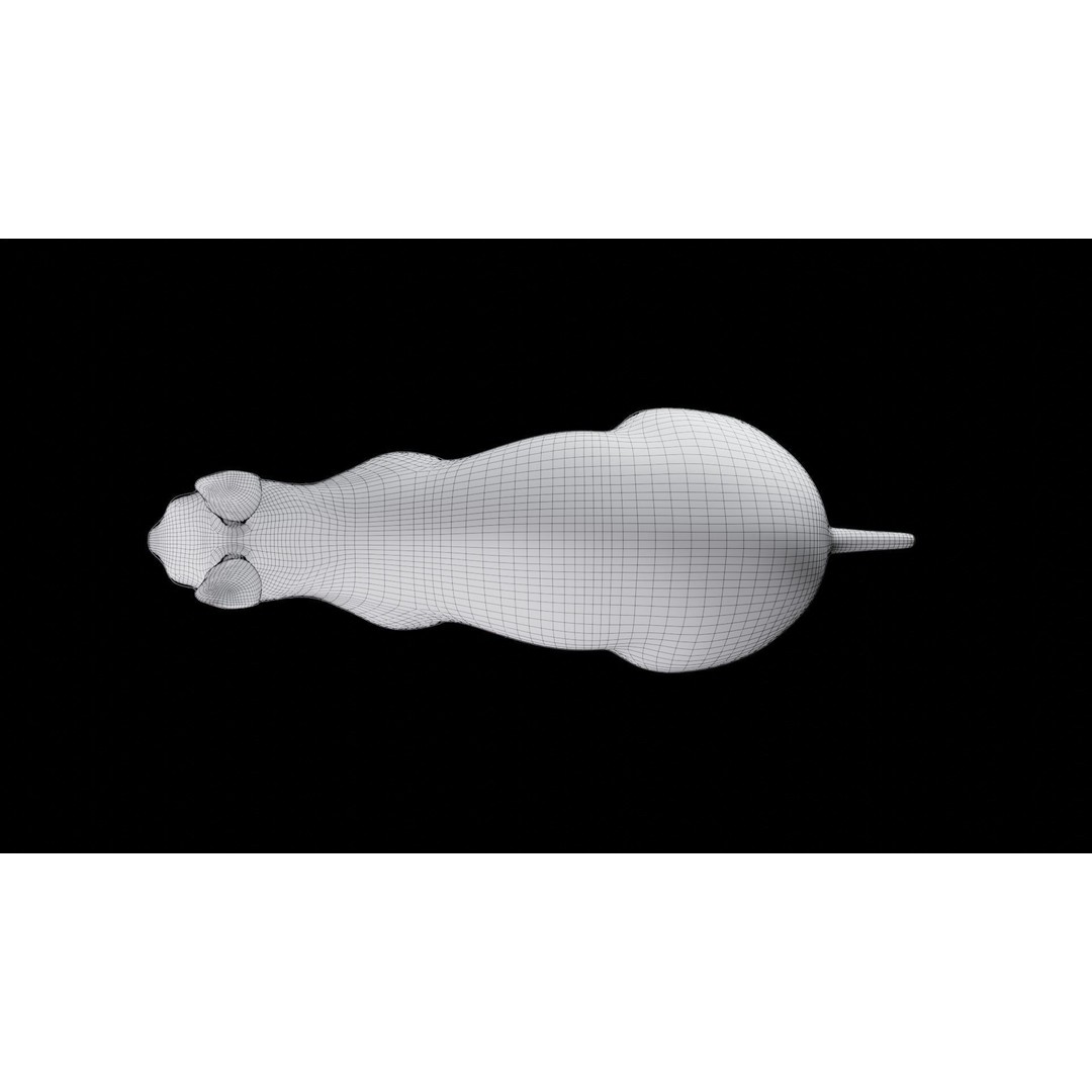 Gray Fur Rabbit 3D Model – Low Poly Rigged Animation, Blender & FBX