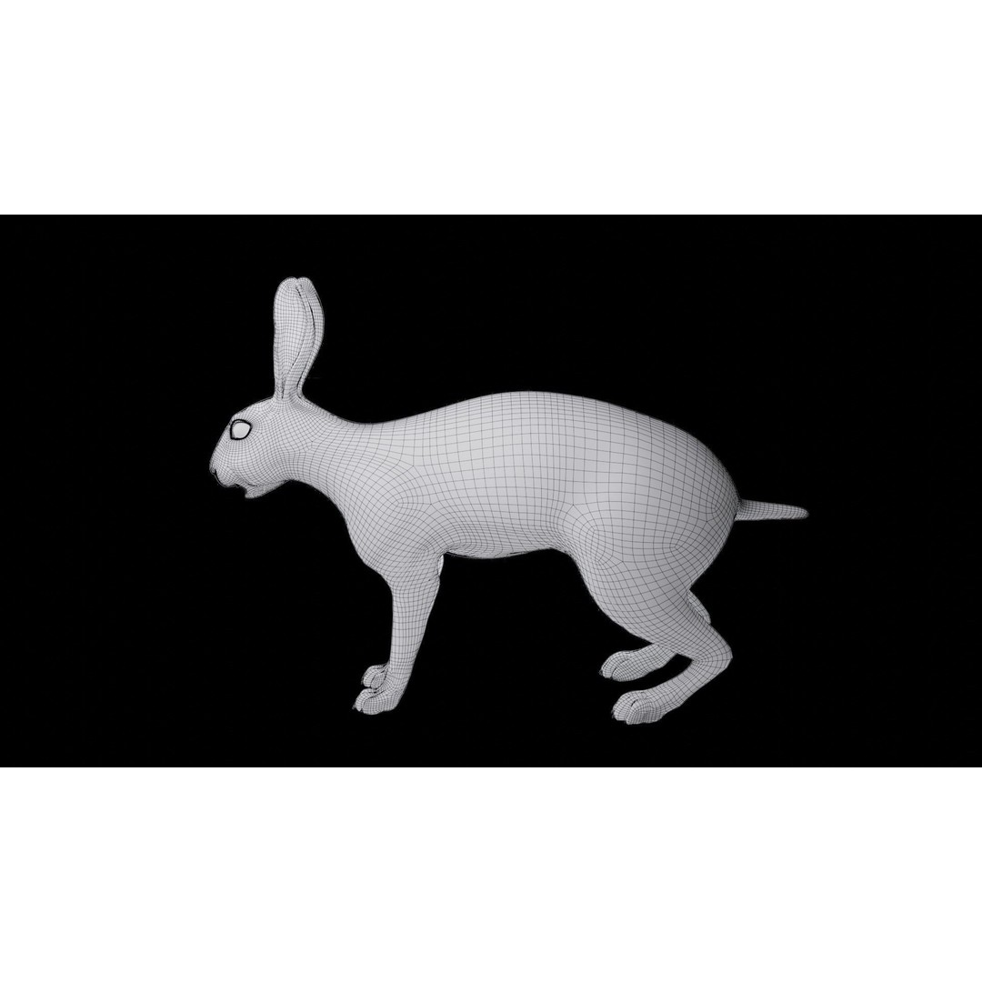 Gray Fur Rabbit 3D Model – Low Poly Rigged Animation, Blender & FBX - View 22