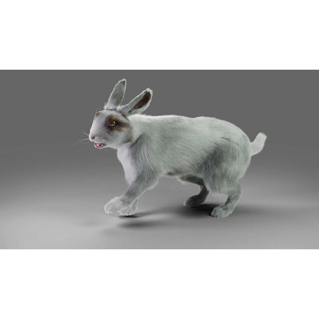 Gray Fur Rabbit 3D Model – Low Poly Rigged Animation, Blender & FBX - View 3
