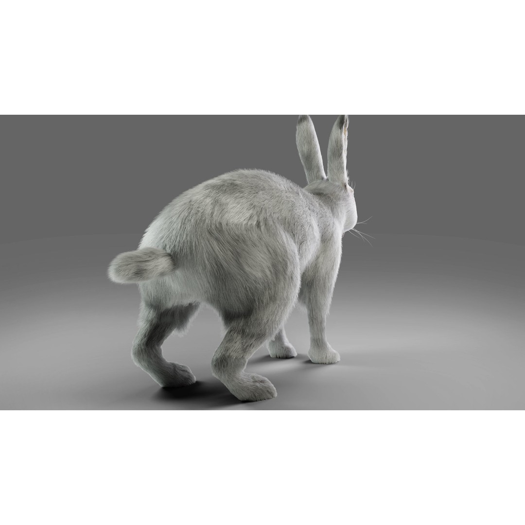 Gray Fur Rabbit 3D Model – Low Poly Rigged Animation, Blender & FBX - View 6