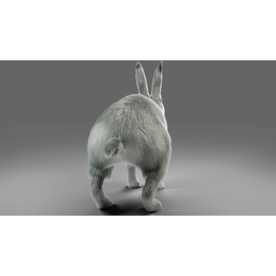 Gray Fur Rabbit 3D Model – Low Poly Rigged Animation, Blender & FBX - View 8