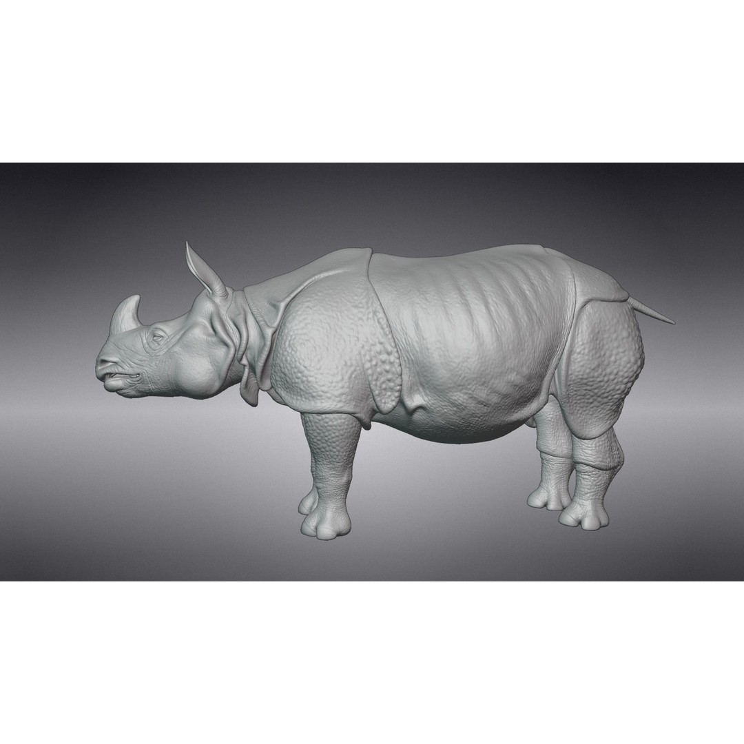 Indian Rhinoceros 3D Model – High Poly Rigged Animation, Blender - View 14