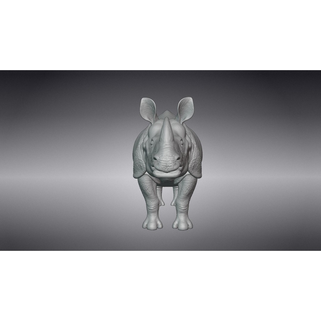 Indian Rhinoceros 3D Model – High Poly Rigged Animation, Blender - View 15