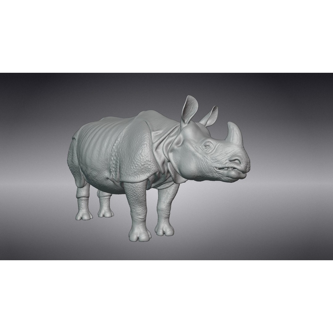 Indian Rhinoceros 3D Model – High Poly Rigged Animation, Blender - View 16