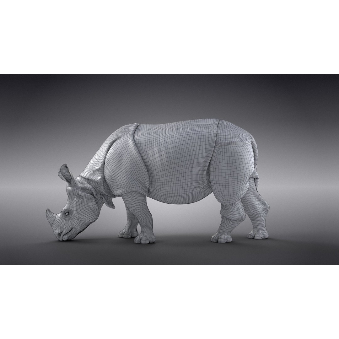 Indian Rhinoceros 3D Model – High Poly Rigged Animation, Blender - View 25
