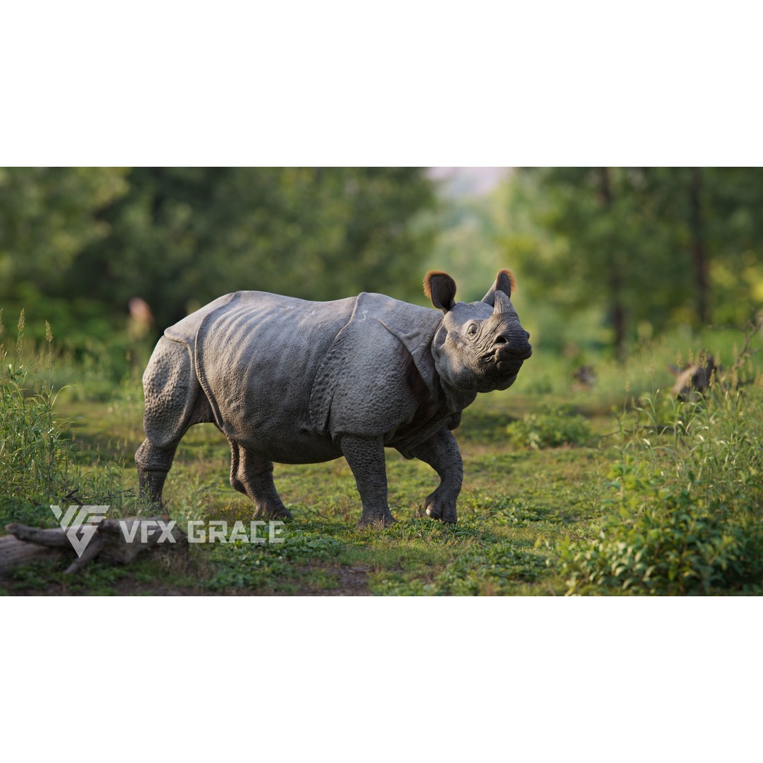 Indian Rhinoceros 3D Model – High Poly Rigged Animation, Blender - View 3
