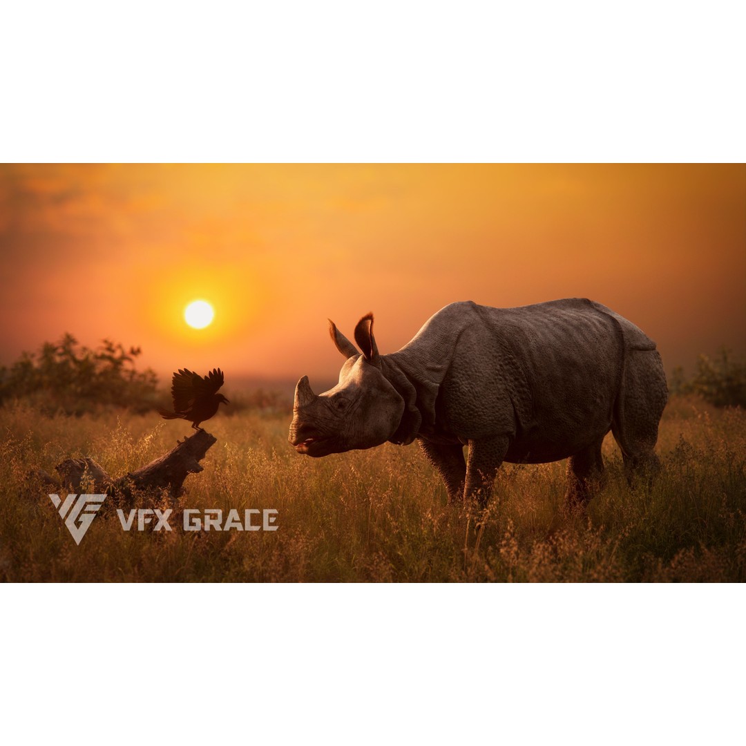 Indian Rhinoceros 3D Model – High Poly Rigged Animation, Blender - View 5