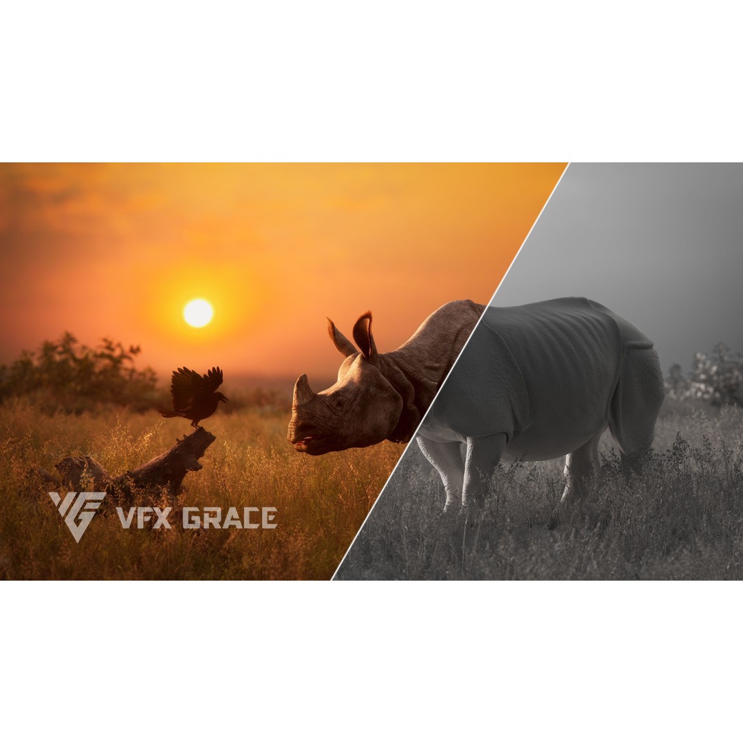 Indian Rhinoceros 3D Model – High Poly Rigged Animation, Blender - View 6
