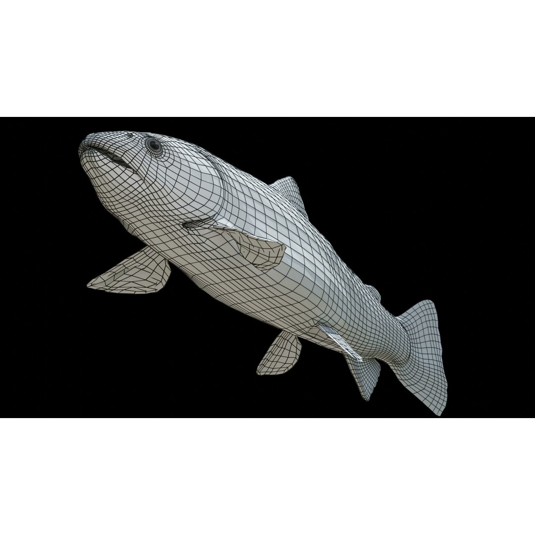 Animated Freshwater Fish 3D Model – Low Poly Game Ready, FBX, Blender - View 18