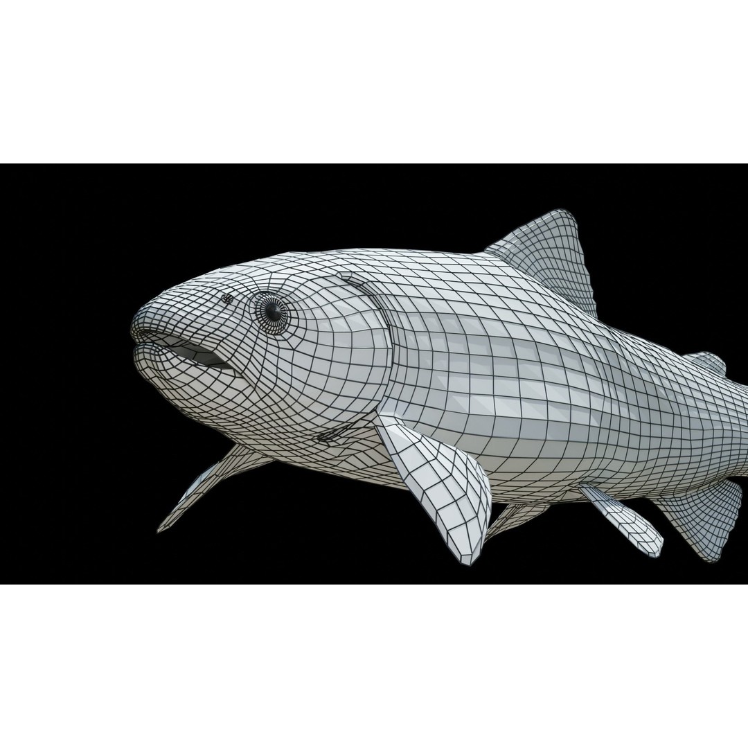Animated Freshwater Fish 3D Model – Low Poly Game Ready, FBX, Blender - View 19