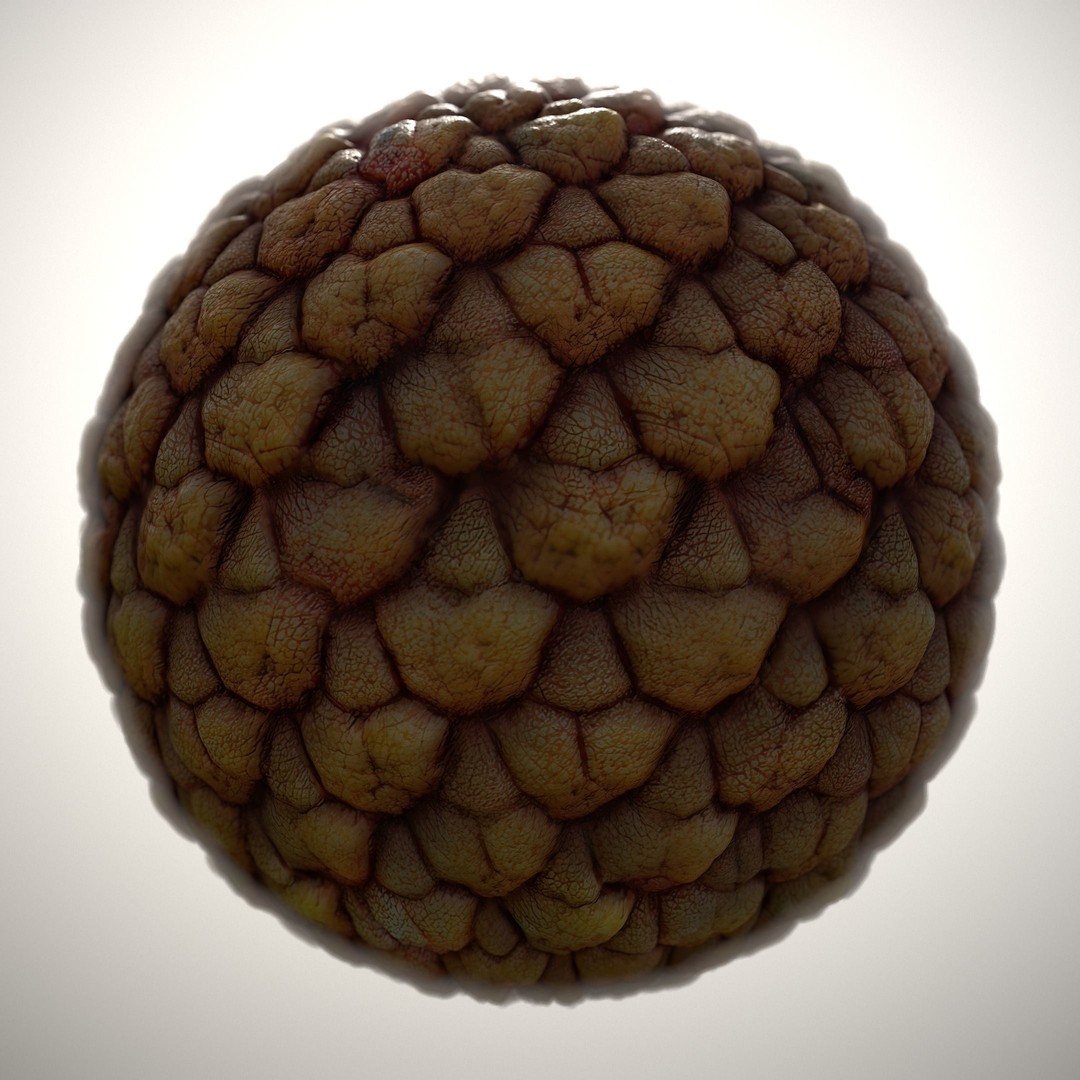 Alien Skin 3D Model – Seamless PBR Texture Pack, 8K & 4K - View 10