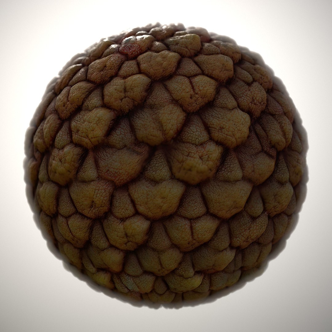 Alien Skin 3D Model – Seamless PBR Texture Pack, 8K & 4K - View 11