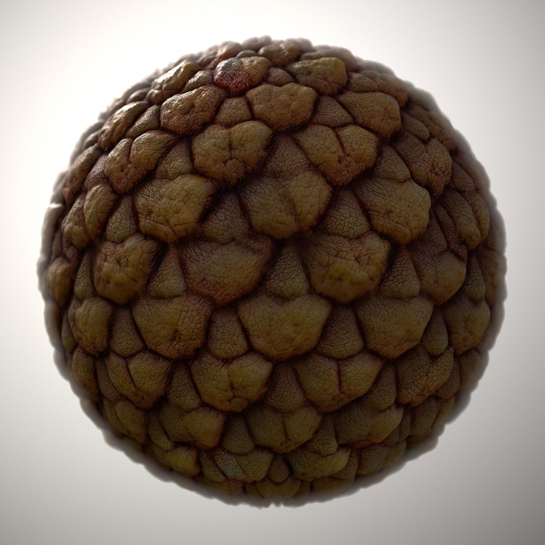Alien Skin 3D Model – Seamless PBR Texture Pack, 8K & 4K - View 12
