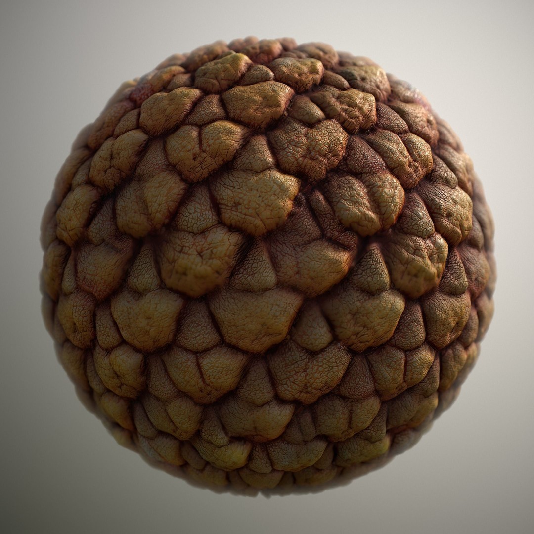 Alien Skin 3D Model – Seamless PBR Texture Pack, 8K & 4K - View 6