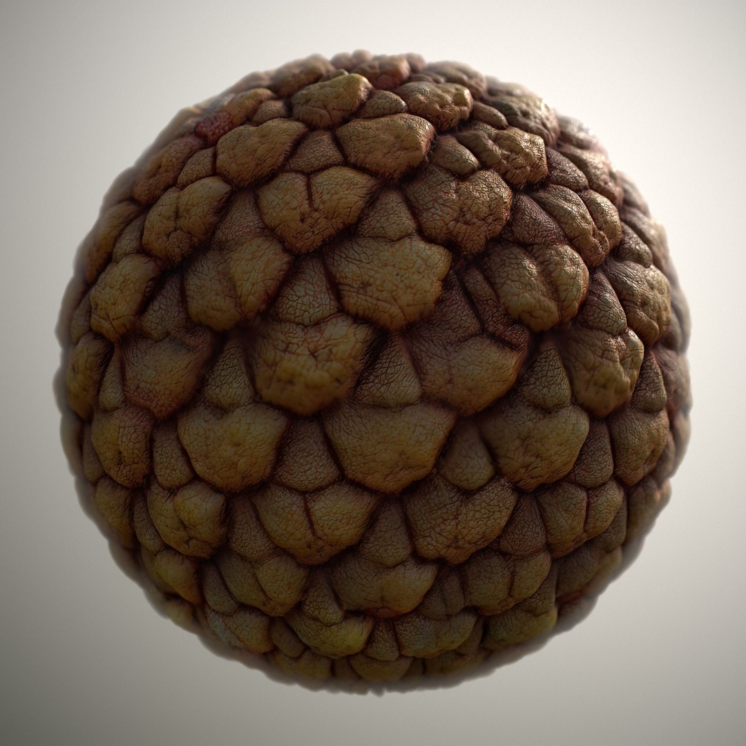 Alien Skin 3D Model – Seamless PBR Texture Pack, 8K & 4K - View 7