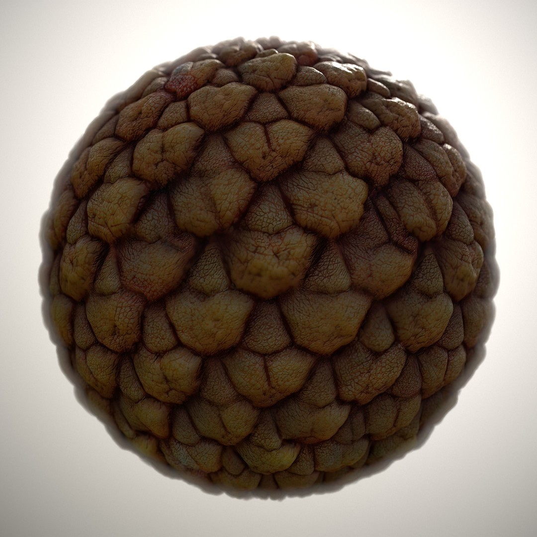 Alien Skin 3D Model – Seamless PBR Texture Pack, 8K & 4K - View 9