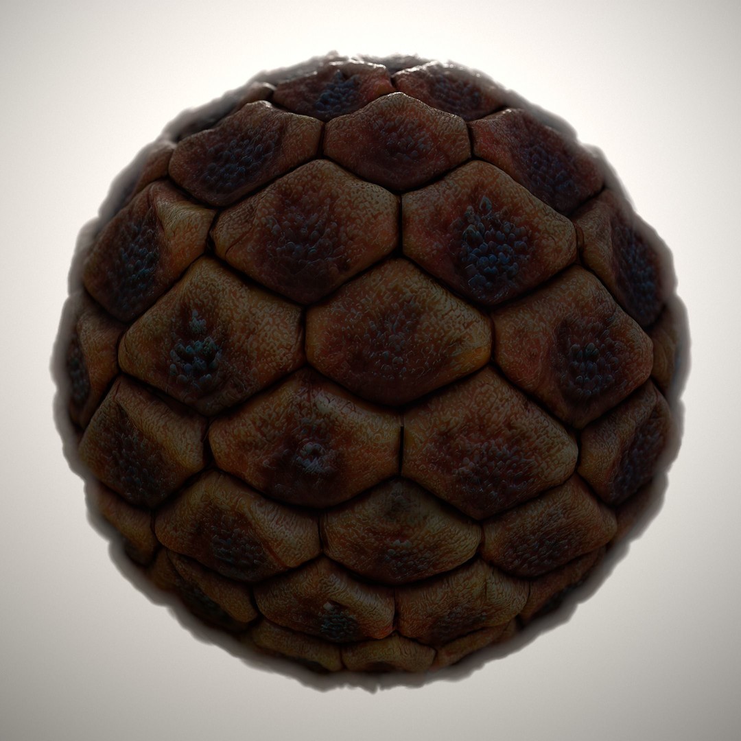 Alien Skin Material PBR Texture – Seamless 8K/4K Game Asset - View 10