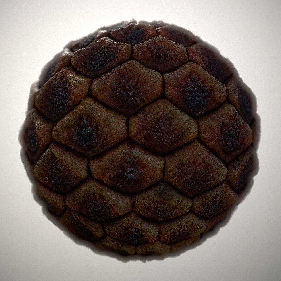 Alien Skin Material PBR Texture – Seamless 8K/4K Game Asset - View 11