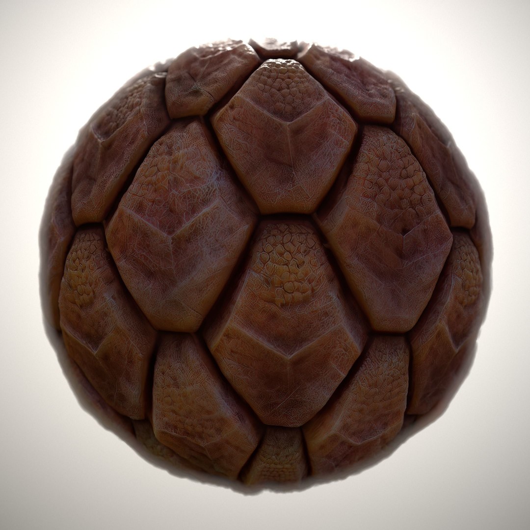 Alien Skin 3D Model – Seamless PBR Texture Pack, FBX & PNG - View 10