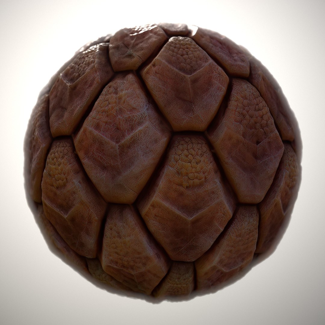 Alien Skin 3D Model – Seamless PBR Texture Pack, FBX & PNG - View 11