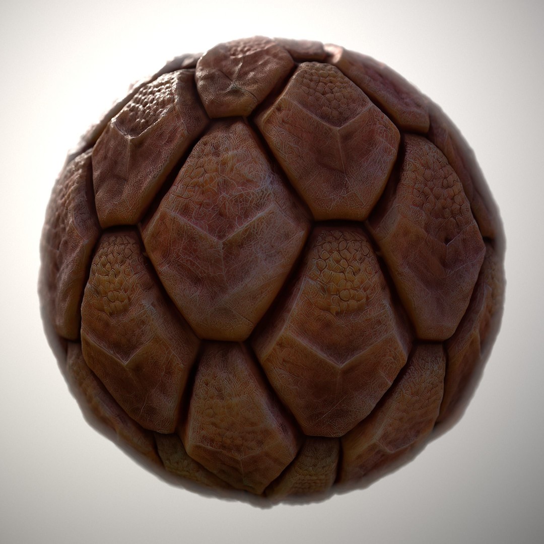 Alien Skin 3D Model – Seamless PBR Texture Pack, FBX & PNG - View 12