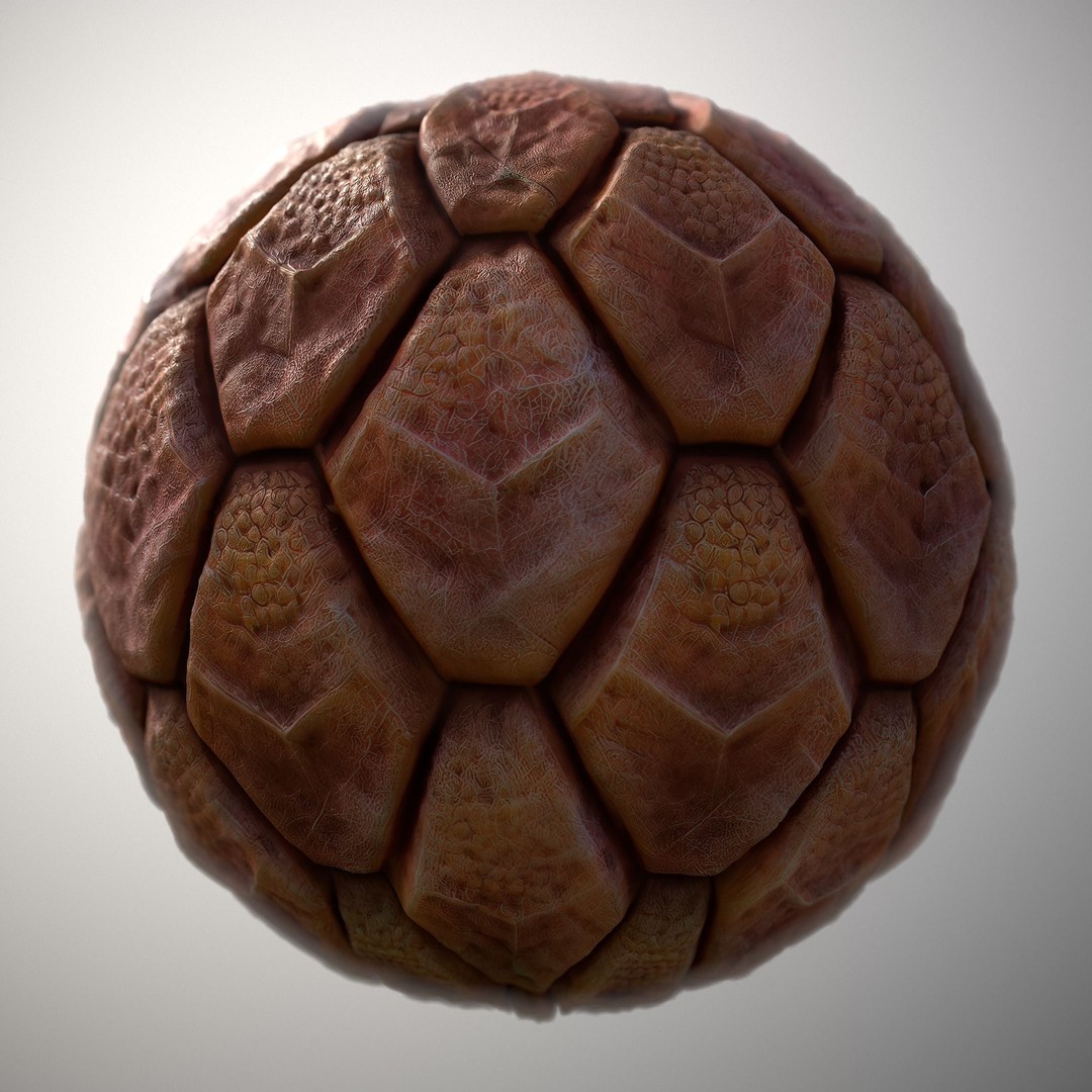 Alien Skin 3D Model – Seamless PBR Texture Pack, FBX & PNG - View 13