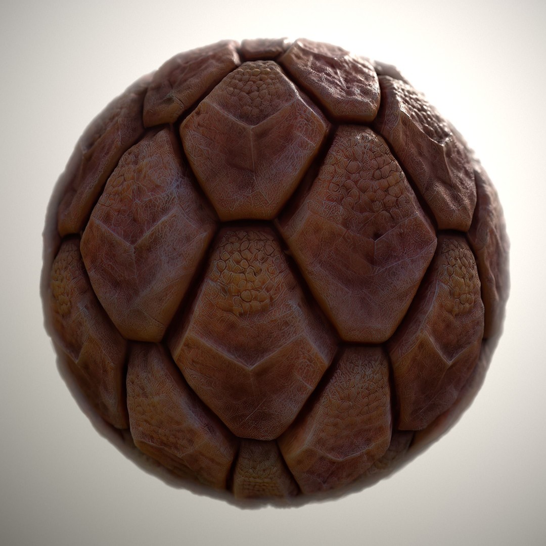 Alien Skin 3D Model – Seamless PBR Texture Pack, FBX & PNG - View 8