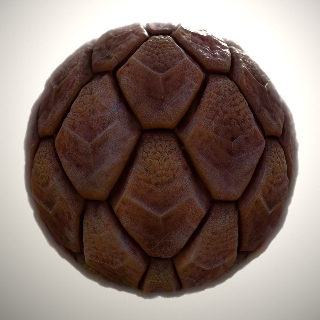 Alien Skin 3D Model – Seamless PBR Texture Pack, FBX & PNG - View 9