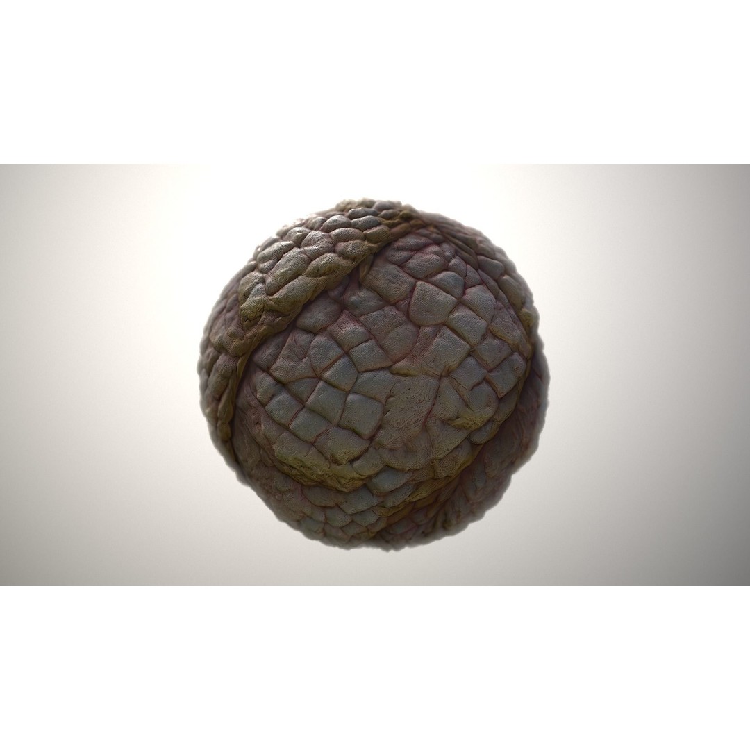 Monster Skin 3D Model – Seamless PBR Texture Pack for Games - View 3