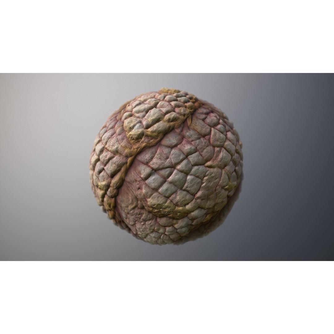 Monster Skin 3D Model – Seamless PBR Texture Pack for Games - View 7