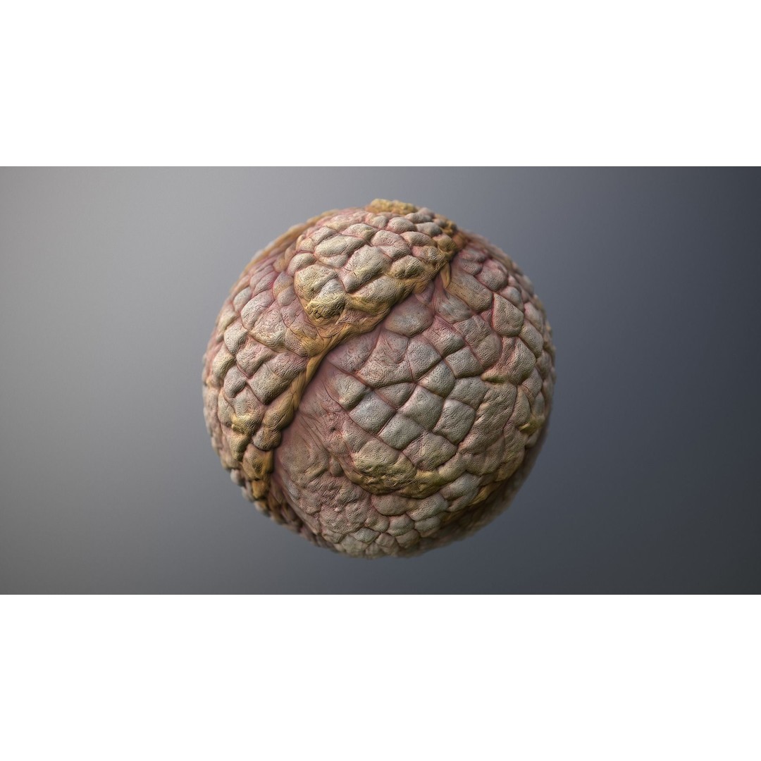 Monster Skin 3D Model – Seamless PBR Texture Pack for Games - View 8