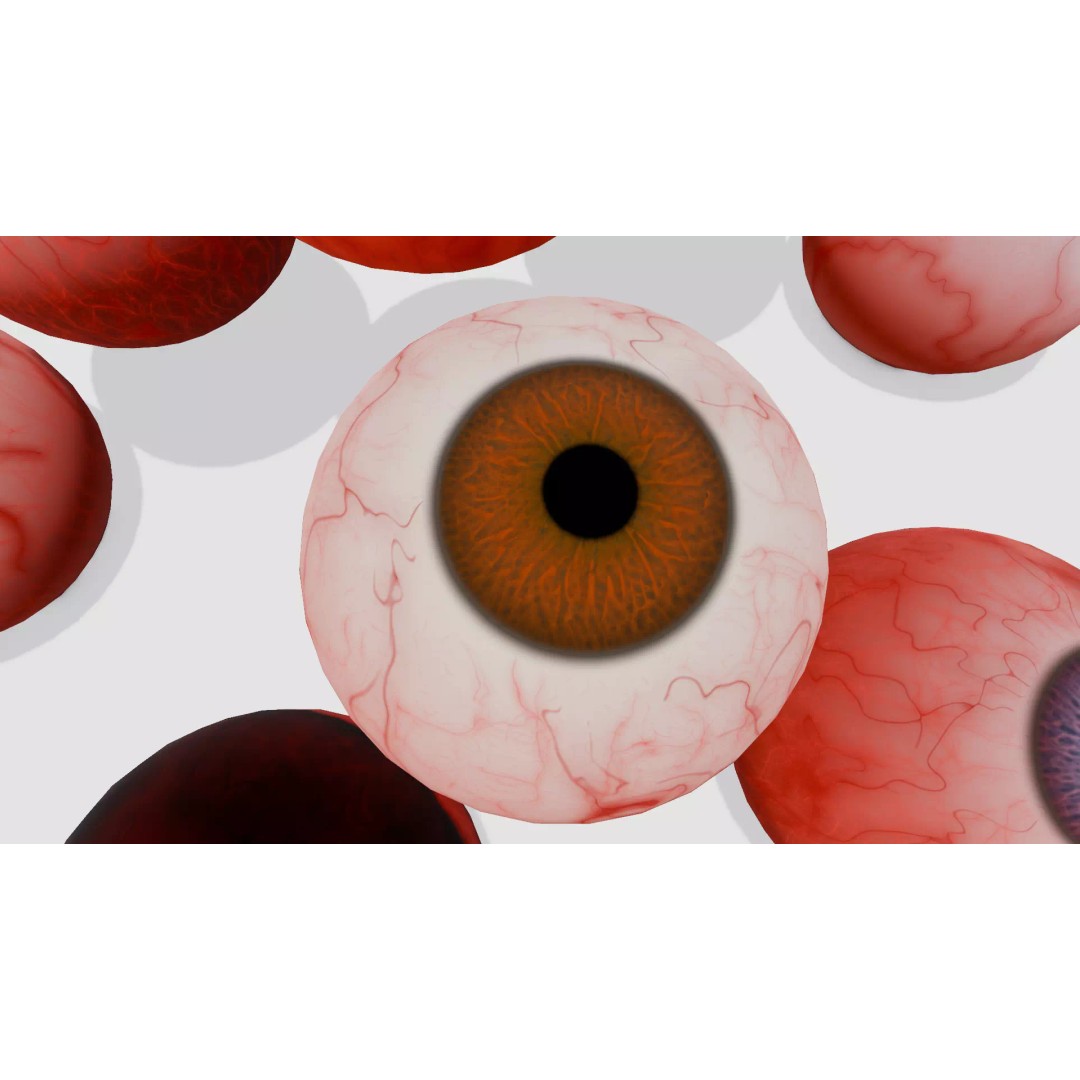 Eyeball Pack 3D Model – Low Poly PBR Asset for VR and AR - View 2